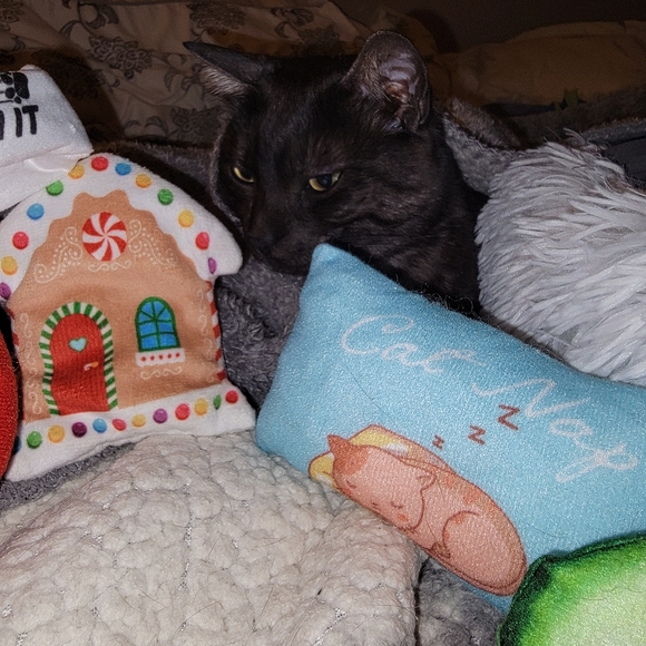 More cat toys ❤️ - Picture 6 of 6